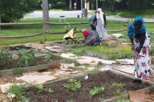 Five people working in a community garden funded by Nurturing Equity Grant